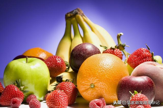 20221108144644_81461