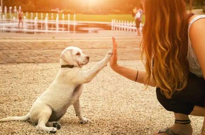 20221108144833_96678 20221108144833_96678