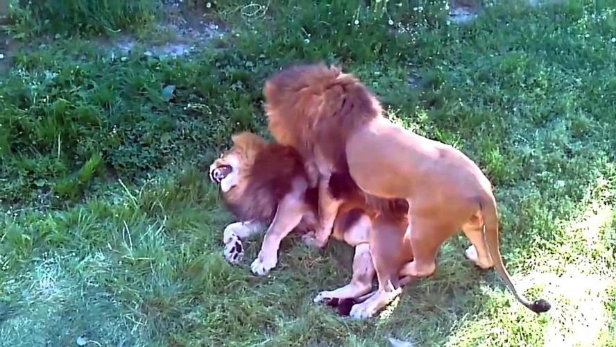 20221108144834_96509 20221108144834_96509