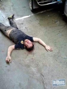 偷狗被打  偷狗被打医药费谁出-警犬训练器材厂家 _警犬训练用品_工作犬训练用品-南京开久警犬装备