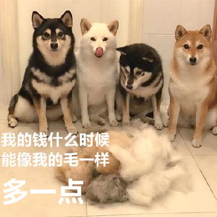 20221108145259_12369 20221108145259_12369