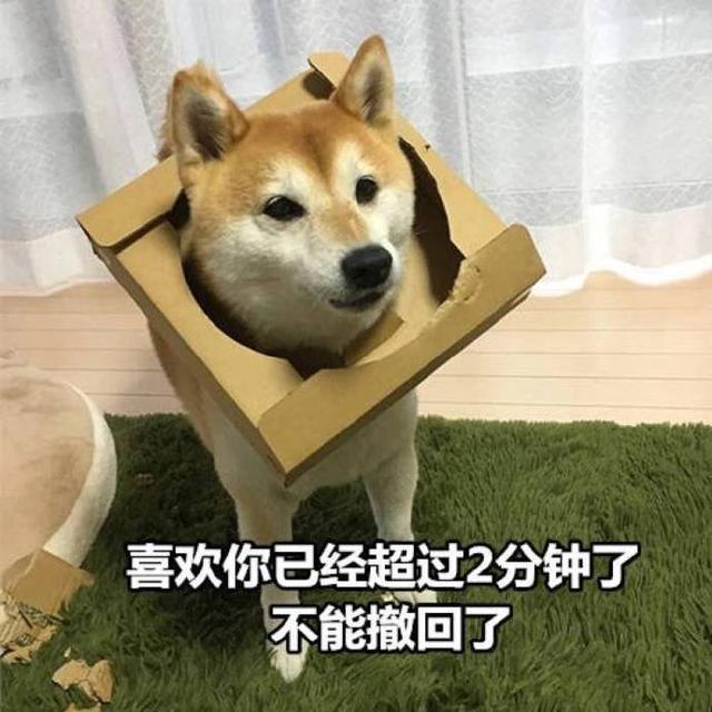 20221108145259_57180 20221108145259_57180