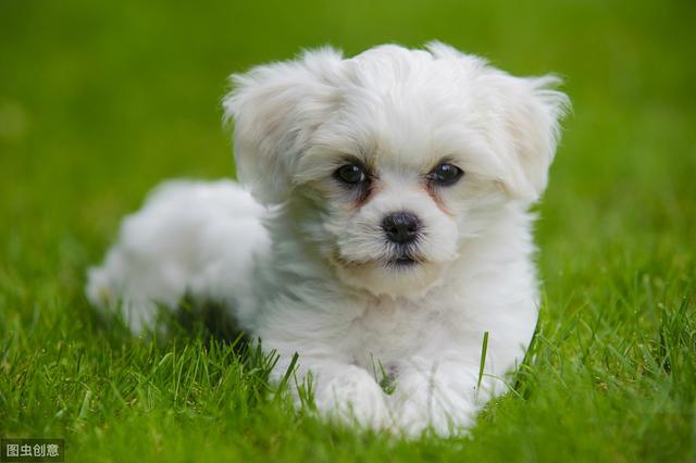 20221108150416_15964