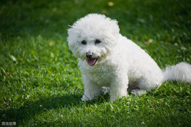 20221108150417_93278