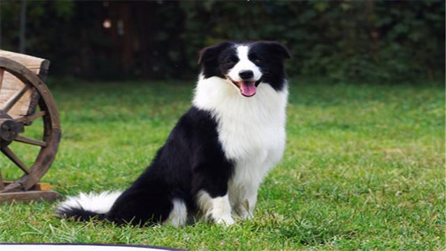 20221108150504_30925