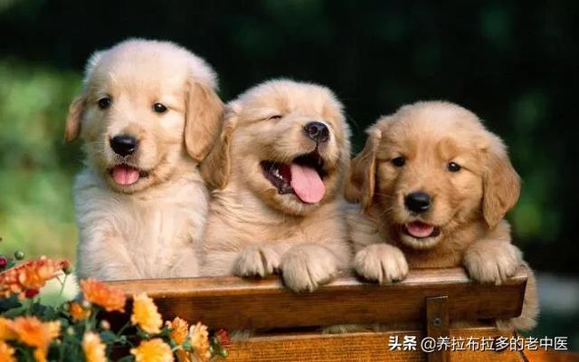 20221108150633_54026