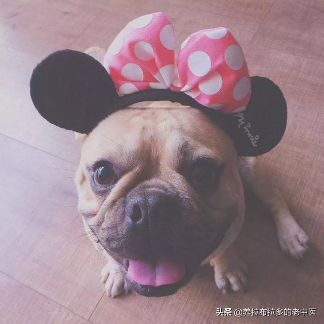 20221108150633_62747