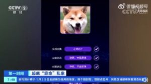 宠物狗网站(买宠物狗去什么网站)-警犬训练器材厂家 _警犬训练用品_工作犬训练用品-南京开久警犬装备