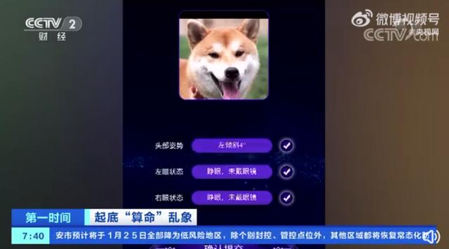 宠物狗网站(买宠物狗去什么网站) - 警犬训练器材厂家 _警犬训练用品_工作犬训练用品-南京开久警犬装备-警犬训练器材厂家 _警犬训练用品_工作犬训练用品-南京开久警犬装备