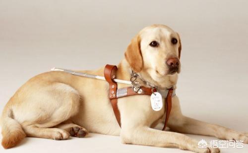 20221108151519_71388