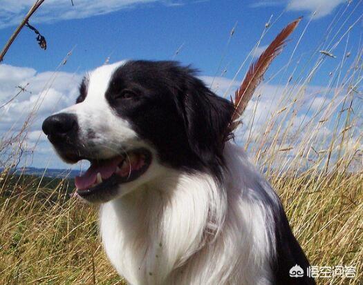 20221108152218_45246