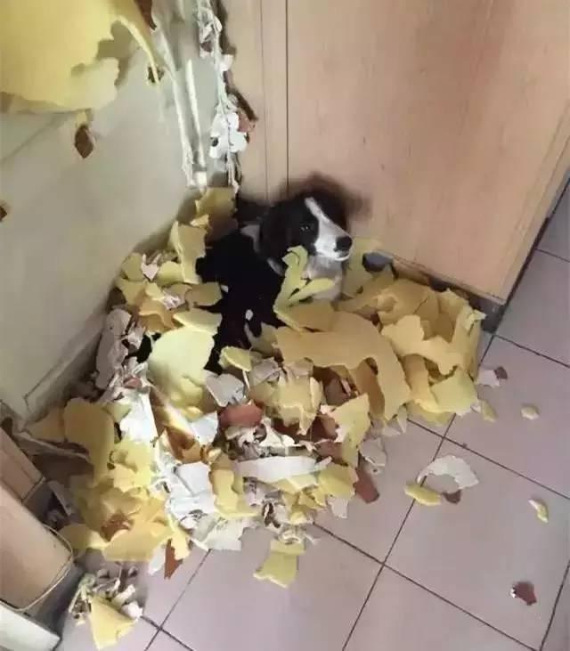 20221108152218_94918