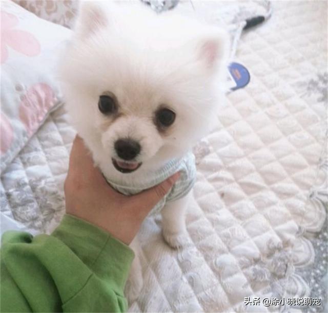 20221108153644_14671