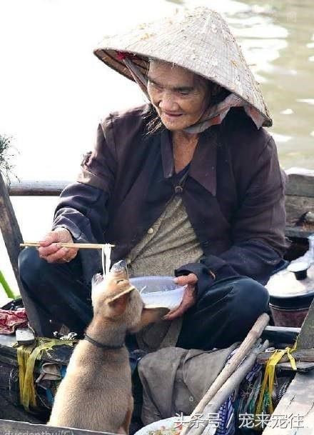 20221108161032_98754 20221108161032_98754