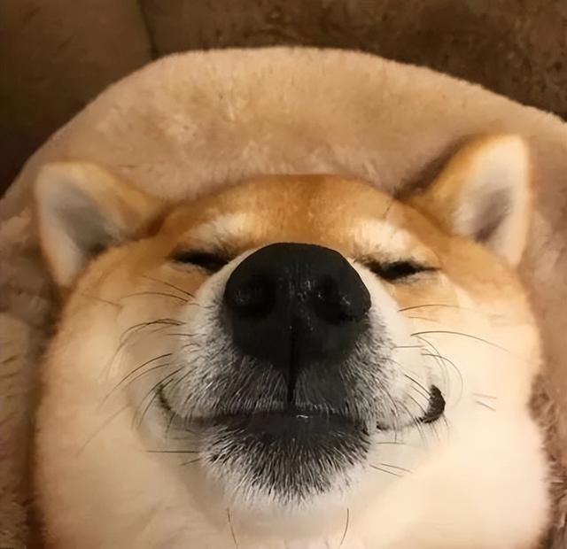 20221108162159_52950