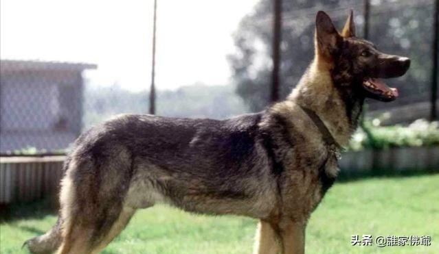 20221108162809_63804