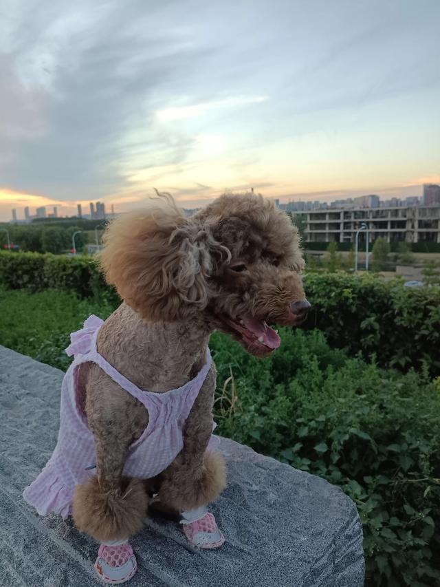 20221108162917_16851