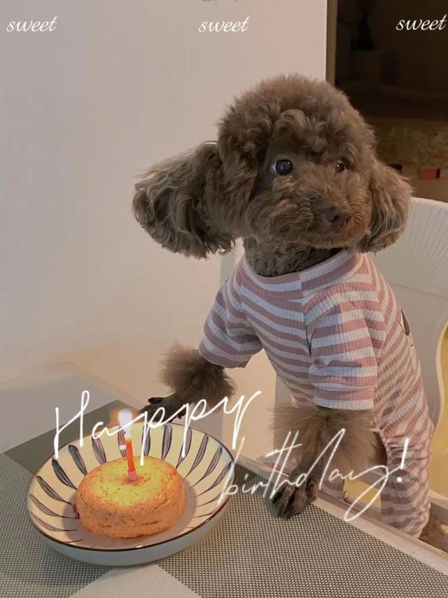 20221108162917_19171