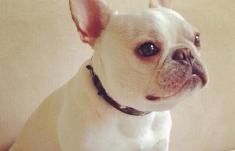 20221108163649_70935