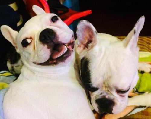 20221108163650_44544