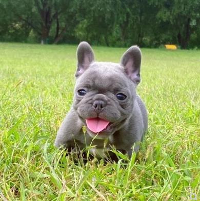 20221108164157_40150 20221108164157_40150