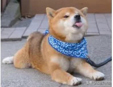 20221108164729_87379