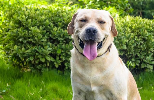 20221108164921_64477 20221108164921_64477