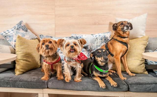 20221108164921_99919 20221108164921_99919