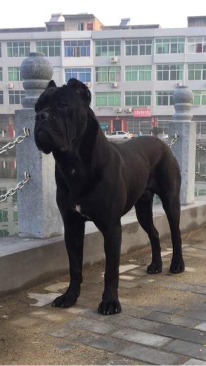 20221108170726_11256 20221108170726_11256