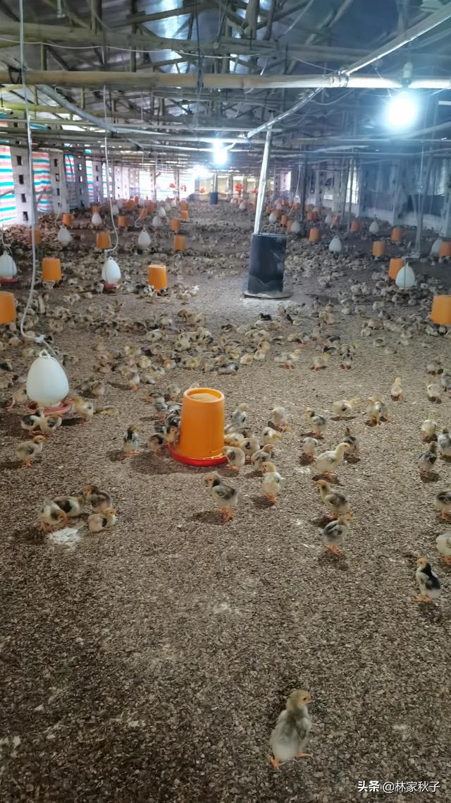 20221108171005_23389 20221108171005_23389