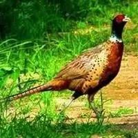 20221108171005_53734 20221108171005_53734