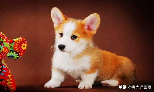 20221108191317_44779