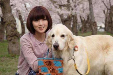 20221108194553_17040