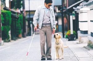 关于狗的 *** 大全(美国狗变异的 *** 大全)-警犬训练器材厂家 _警犬训练用品_工作犬训练用品-南京开久警犬装备