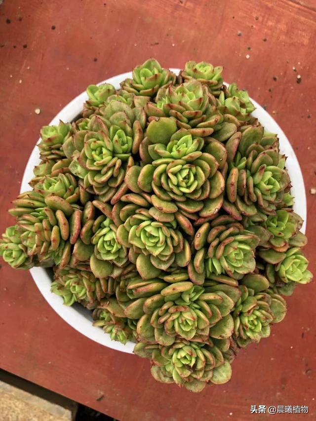 20221108201316_67420 20221108201316_67420