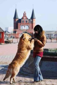 男生对你说狗女人(男生对你说穿巴黎世家)-警犬训练器材厂家 _警犬训练用品_工作犬训练用品-南京开久警犬装备