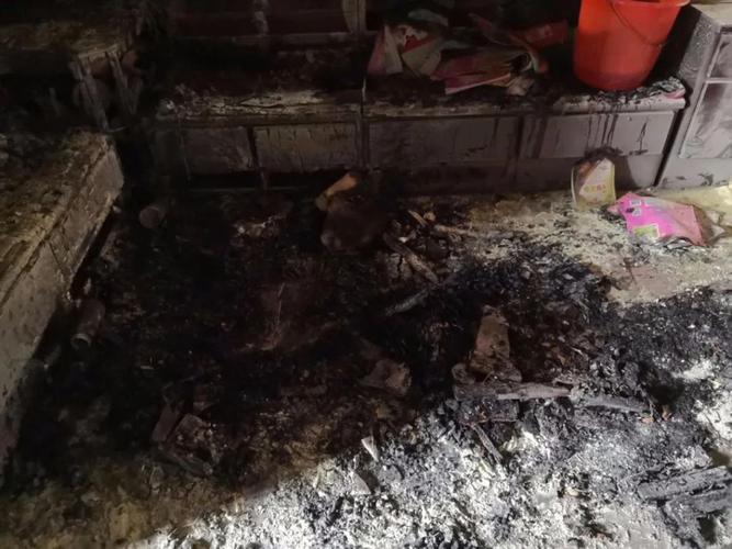 20221109085235_36626