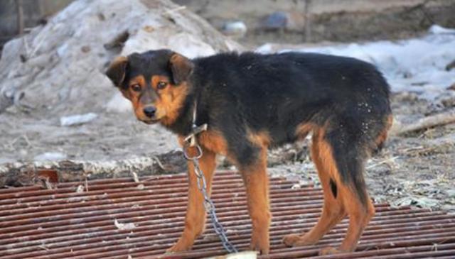 20221109085236_60122