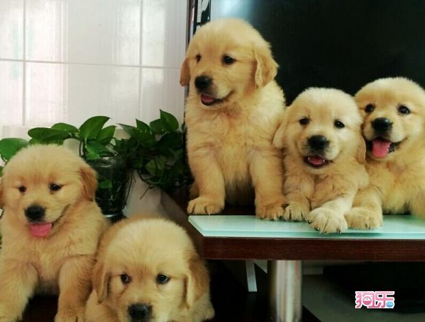 20221109085944_47794