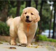 20221109085944_63041