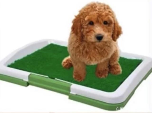 20221109090547_16449