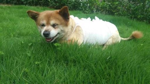 20221109090547_38655