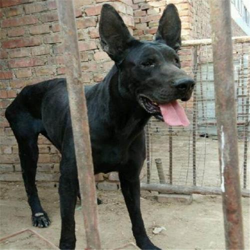 20221109092317_75221