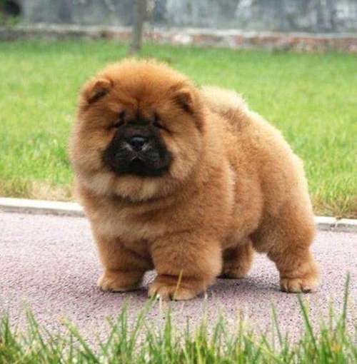 20221109092607_14883 20221109092607_14883