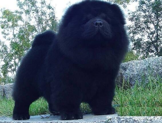 20221109092607_63014 20221109092607_63014