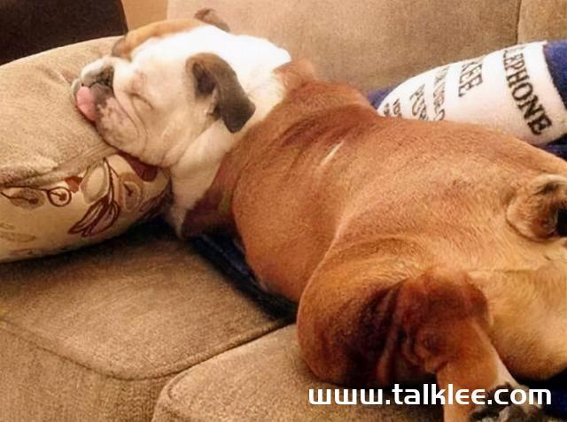 20221109094722_21691 20221109094722_21691