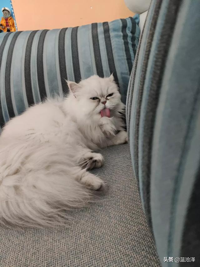 20221109100157_81608