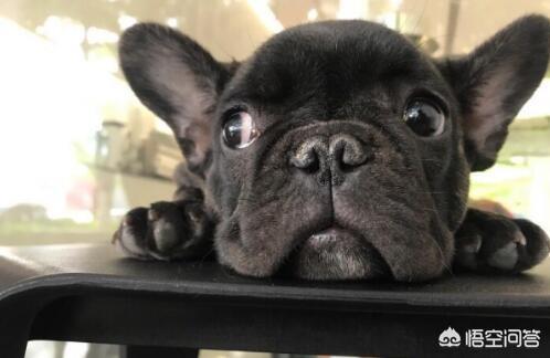 20221109102809_13057 20221109102809_13057