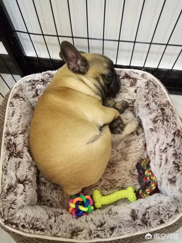 20221109102810_69523 20221109102810_69523