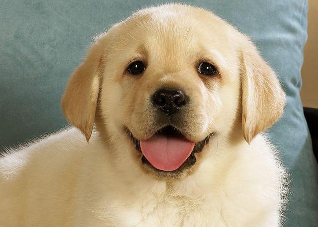 20221109110040_61053